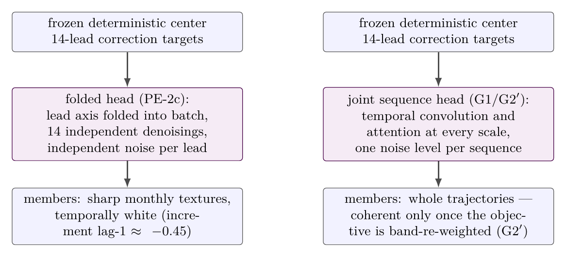 Folded versus joint denoising around the same frozen center. The architectural change alone (right, G1) supplies temporal capacity but leaves samples temporally white; the equal-band objective re-weighting of G2 is what converts that capacity into learned temporal coherence.